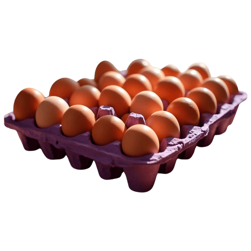 Tapa de Huevo de granja