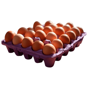 Tapa de Huevo de granja